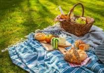 President Picnic
